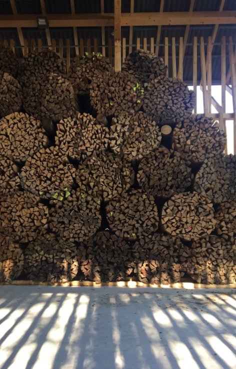 Shed for Firewood by Clou Architekten