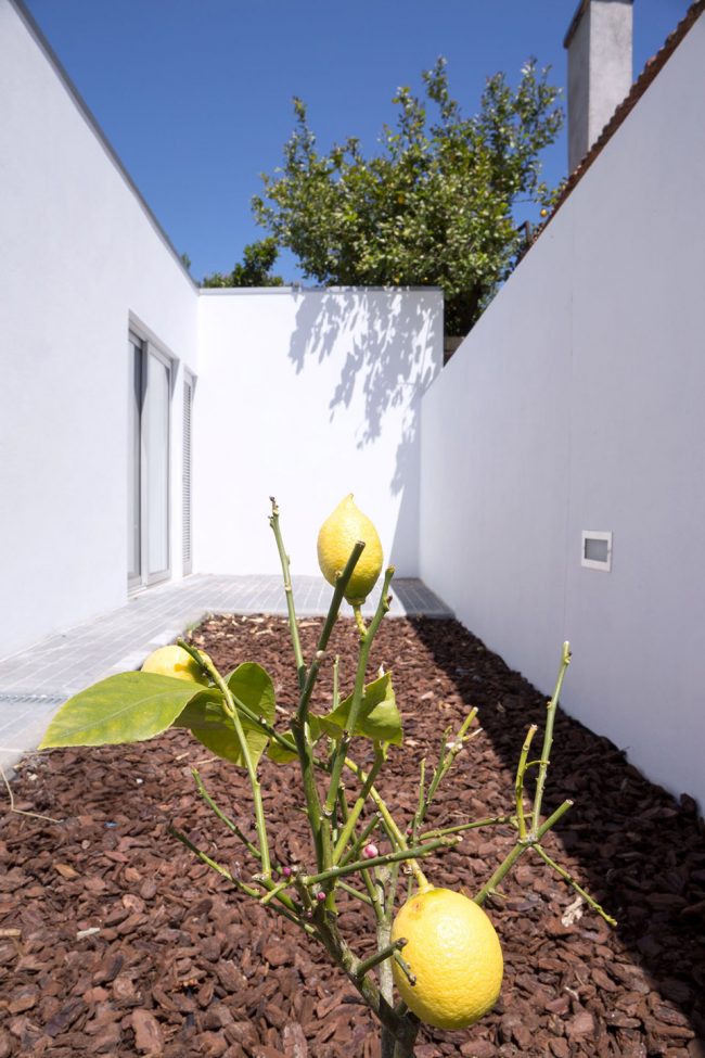 Casa PD by WAATAA