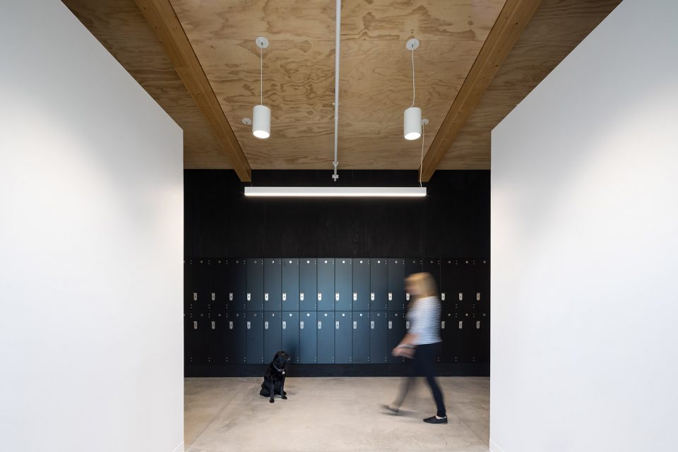 The Dock Building by MGA