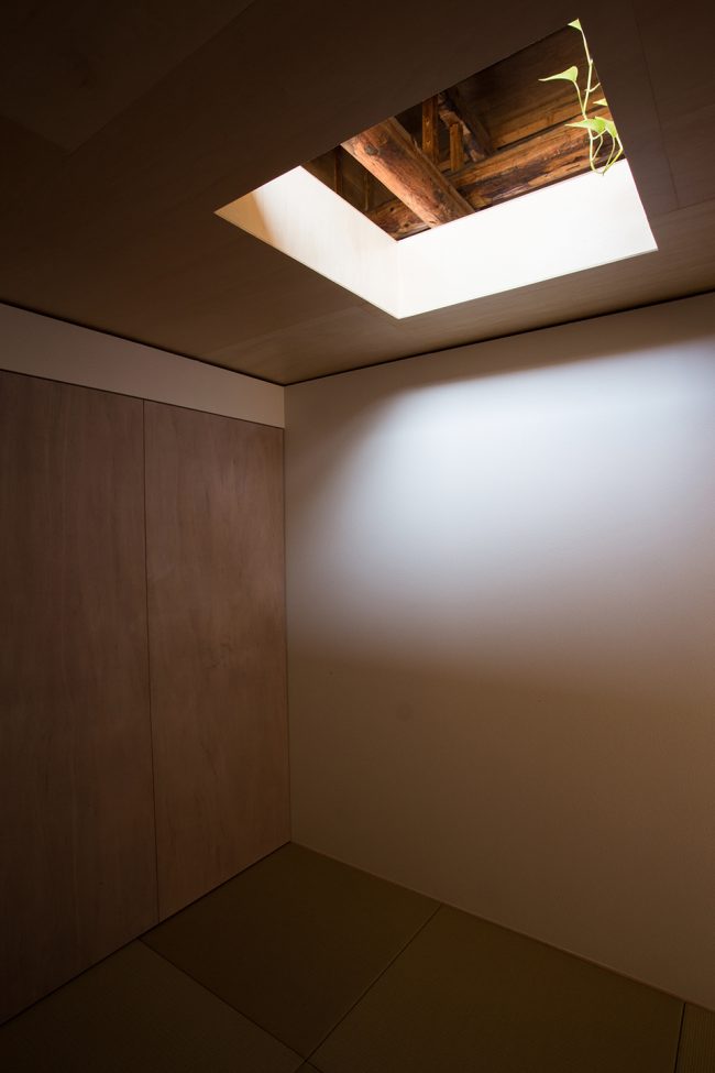 house ni by 1 1 architects
