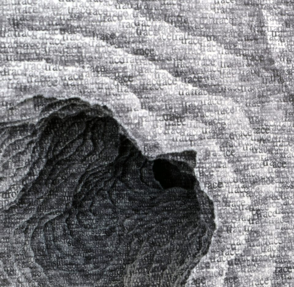 Selected work of Scott Hazard