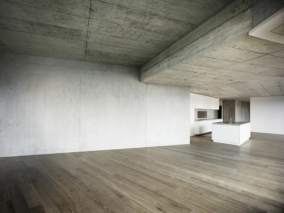 Residential Houses on the Hungerberg by Andreas Fuhrimann Gabrielle Hächler Architekten