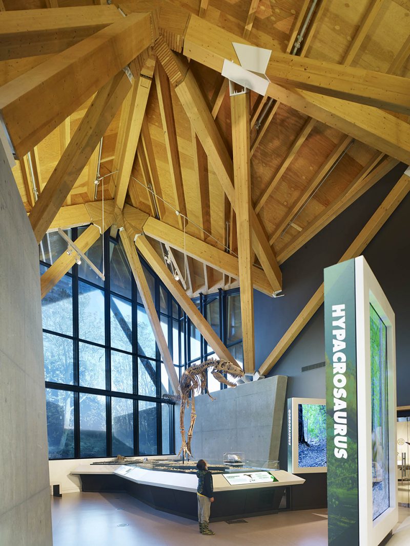 Philip J. Currie Dinosaur Museum by Teeple Architects