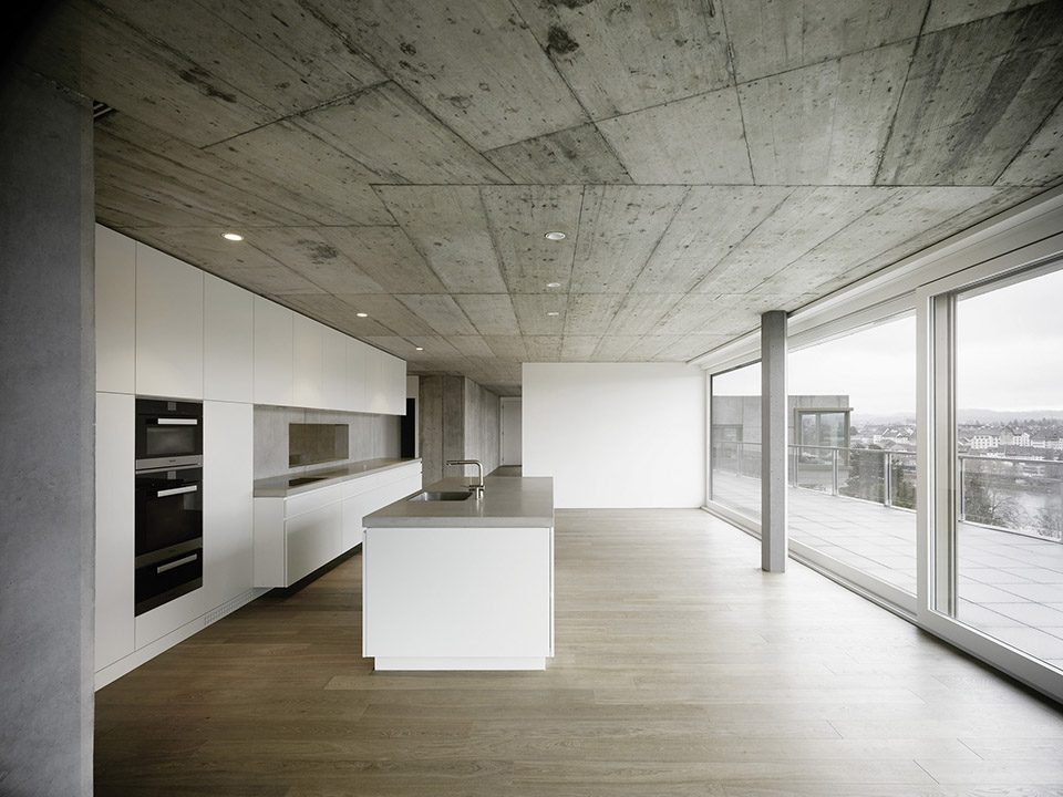 Residential Houses on the Hungerberg by Andreas Fuhrimann Gabrielle Hächler Architekten