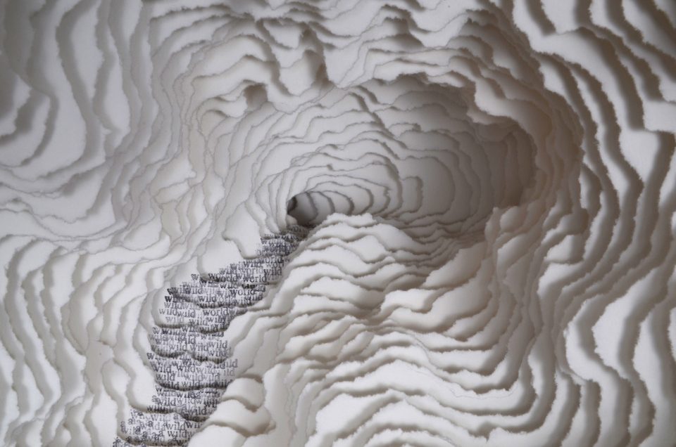 Selected work of Scott Hazard