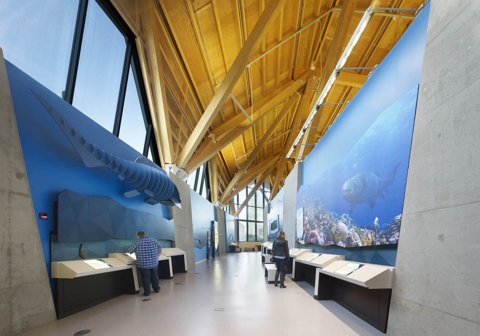 Philip J. Currie Dinosaur Museum by Teeple Architects