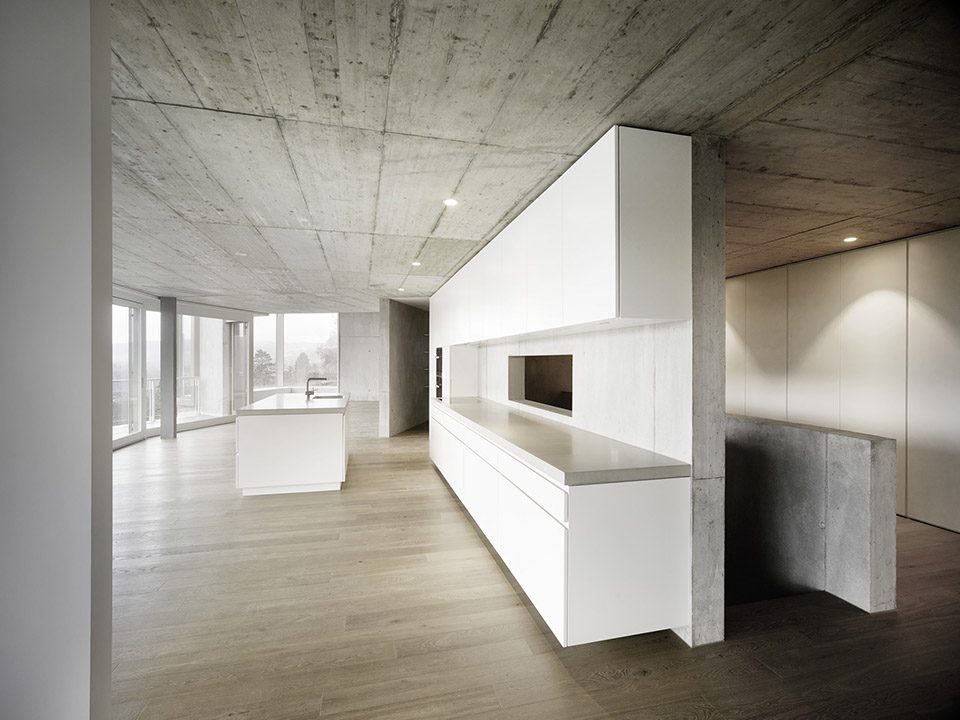 Residential Houses on the Hungerberg by Andreas Fuhrimann Gabrielle Hächler Architekten