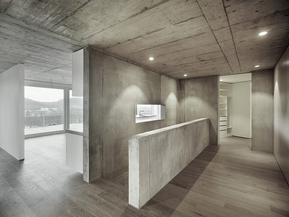 Residential Houses on the Hungerberg by Andreas Fuhrimann Gabrielle Hächler Architekten