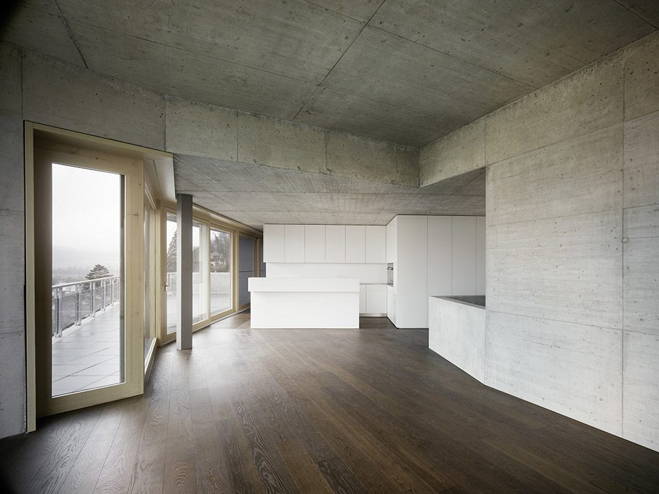 Residential Houses on the Hungerberg by Andreas Fuhrimann Gabrielle Hächler Architekten