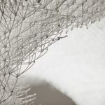 云廊，威尼斯 / Bruno Juričić
