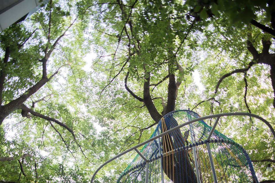 tree house mur mur lab