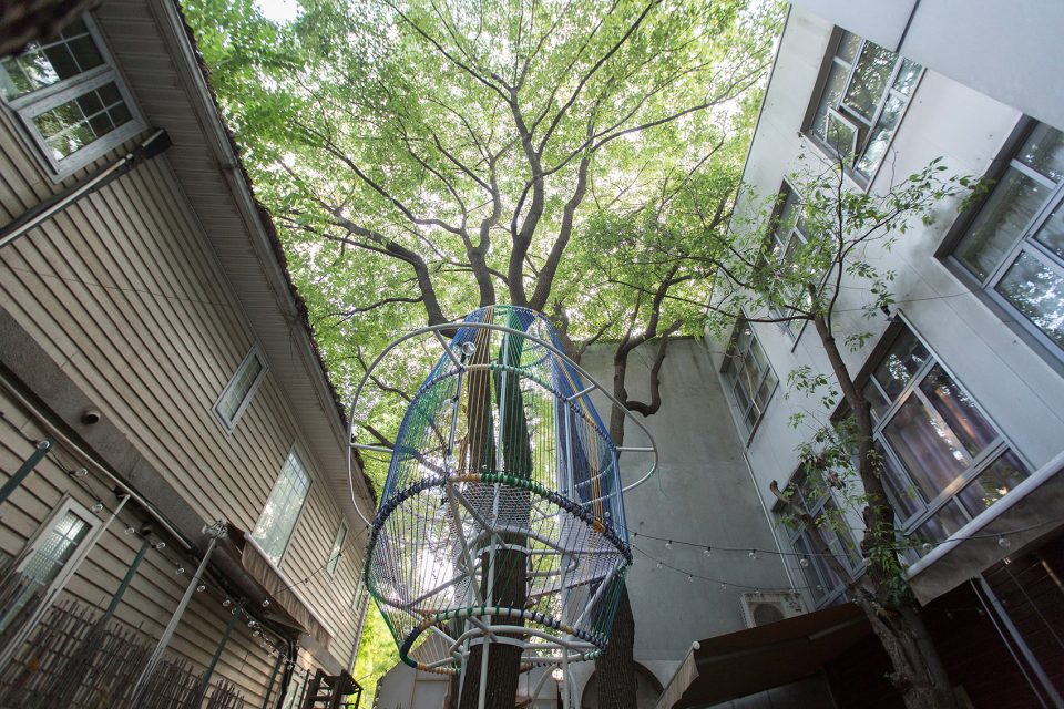tree house mur mur lab