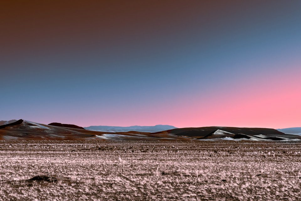 Neon Desert 5 Stefano Gardel