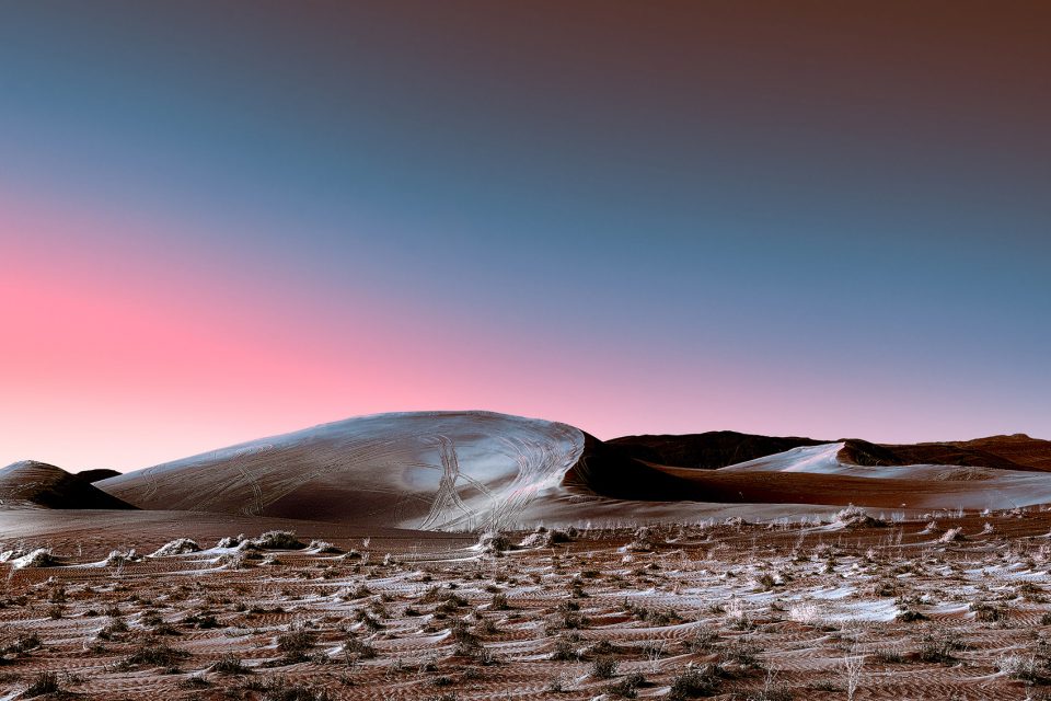 Neon Desert 6 Stefano Gardel