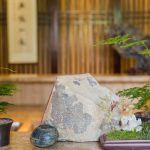 玖树·水月客栈，苏州 / 远见规划设计院