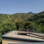 金凤书院，秦岭 / 土木石建筑
