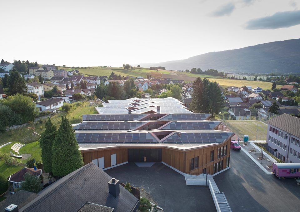 JAGGED TIMBER SCHOOL Skop