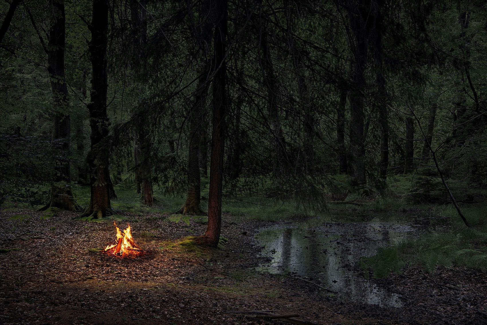 Fire by Ellie Davies