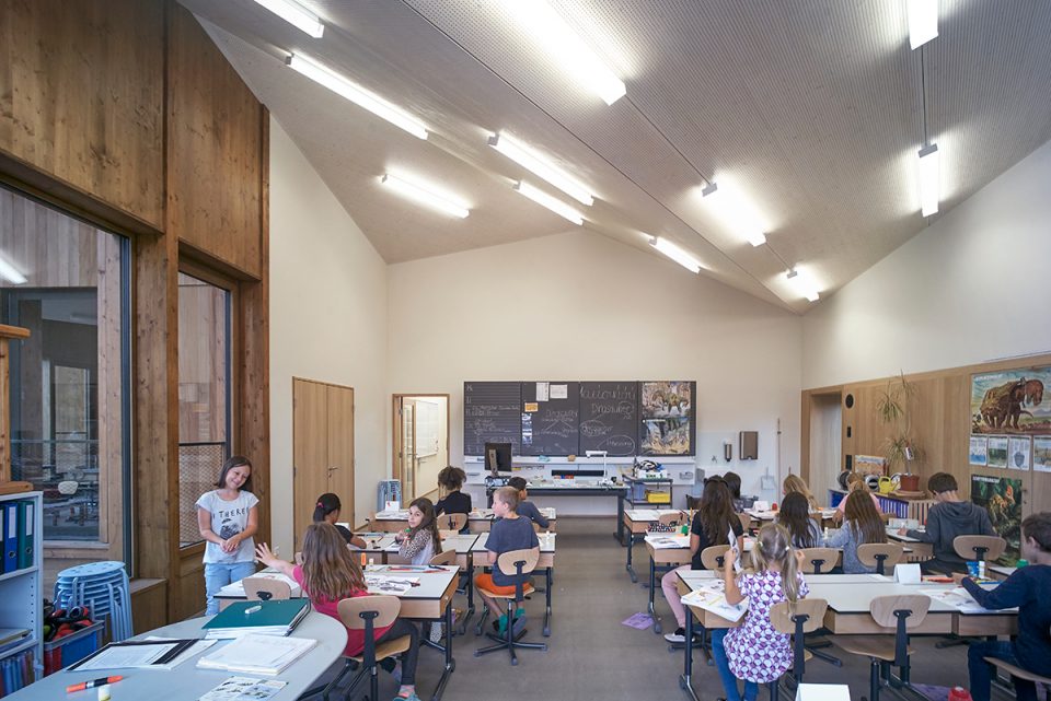 JAGGED TIMBER SCHOOL Skop