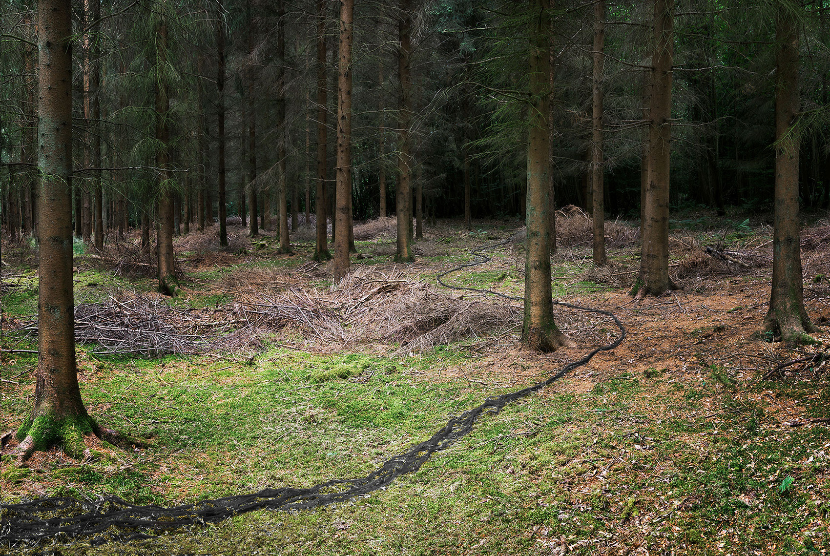 Come With Me by Ellie Davies
