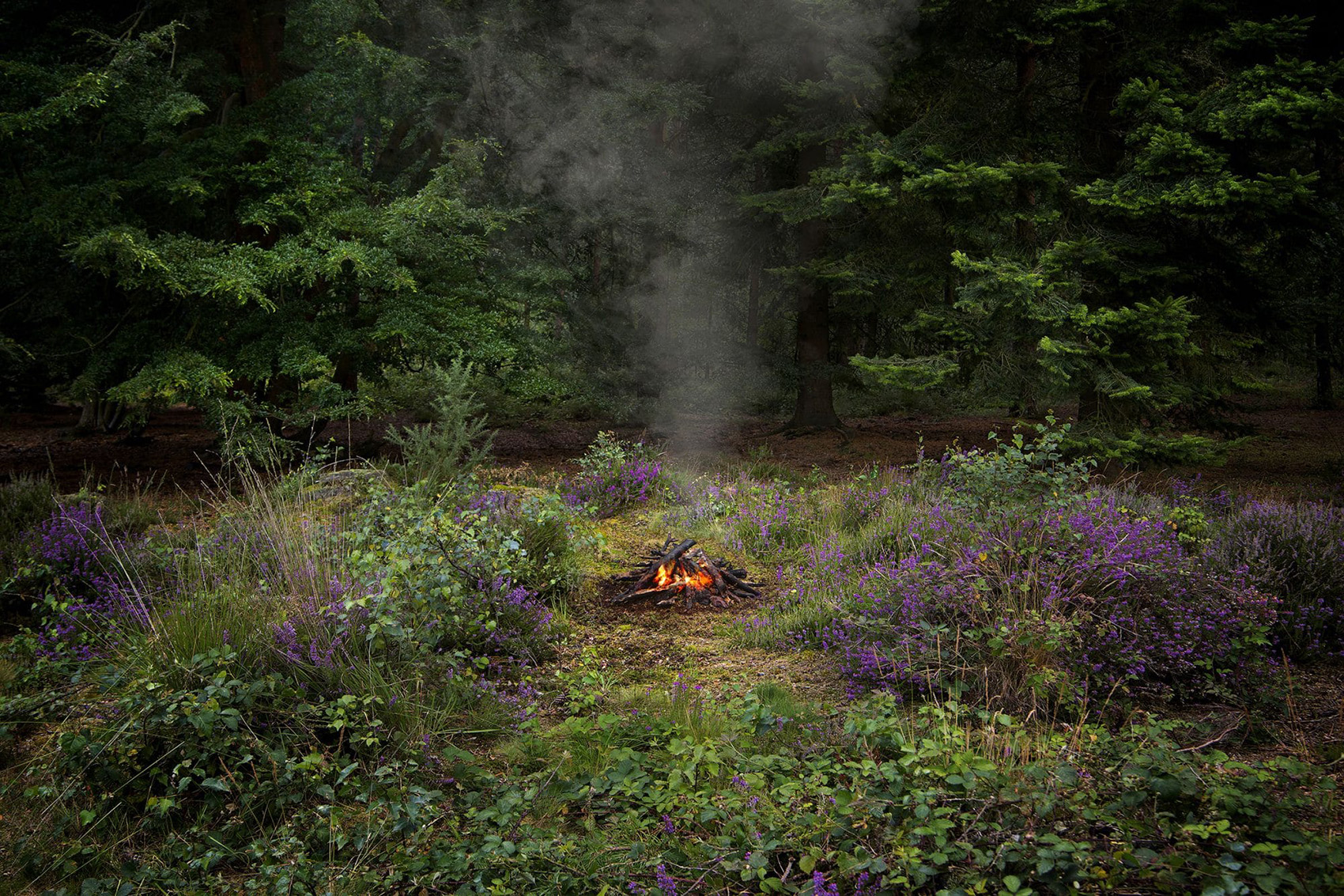 Fire by Ellie Davies