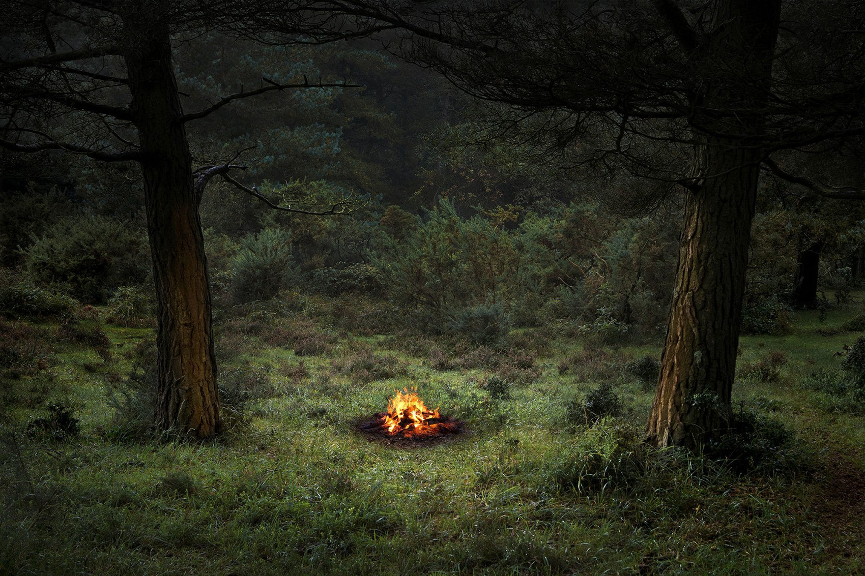 Fire by Ellie Davies