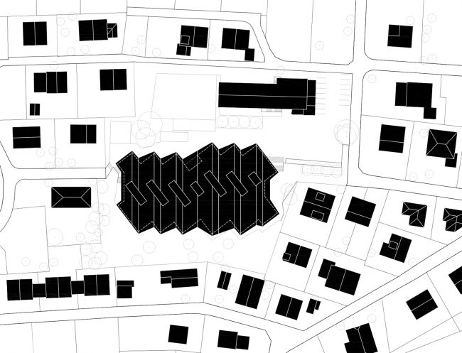 JAGGED TIMBER SCHOOL Skop