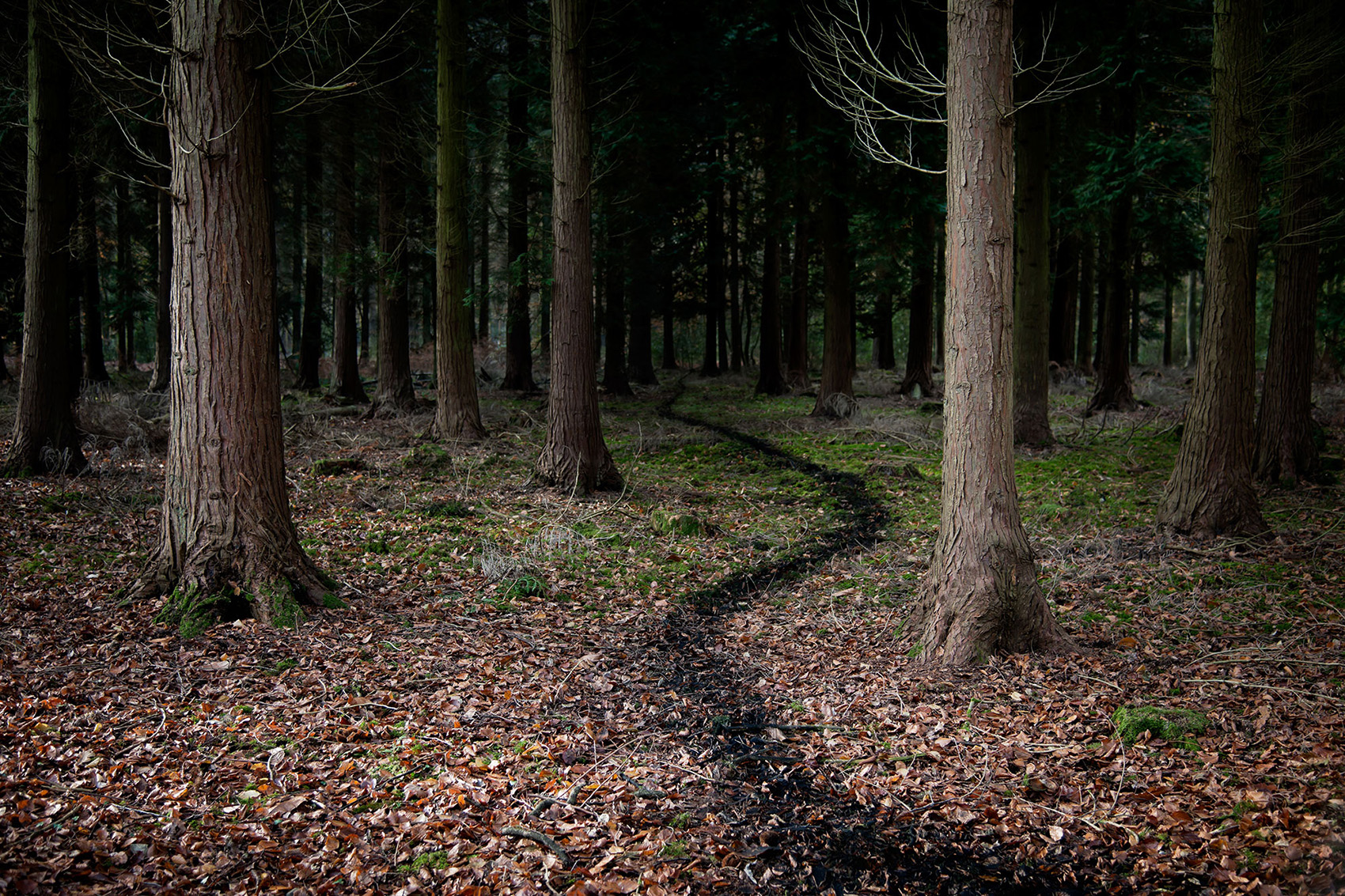Come With Me by Ellie Davies