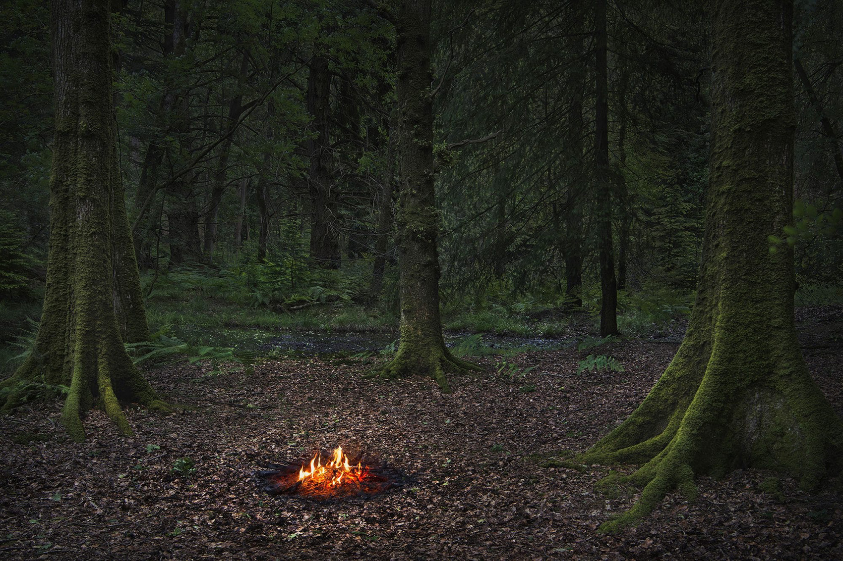 Fire by Ellie Davies