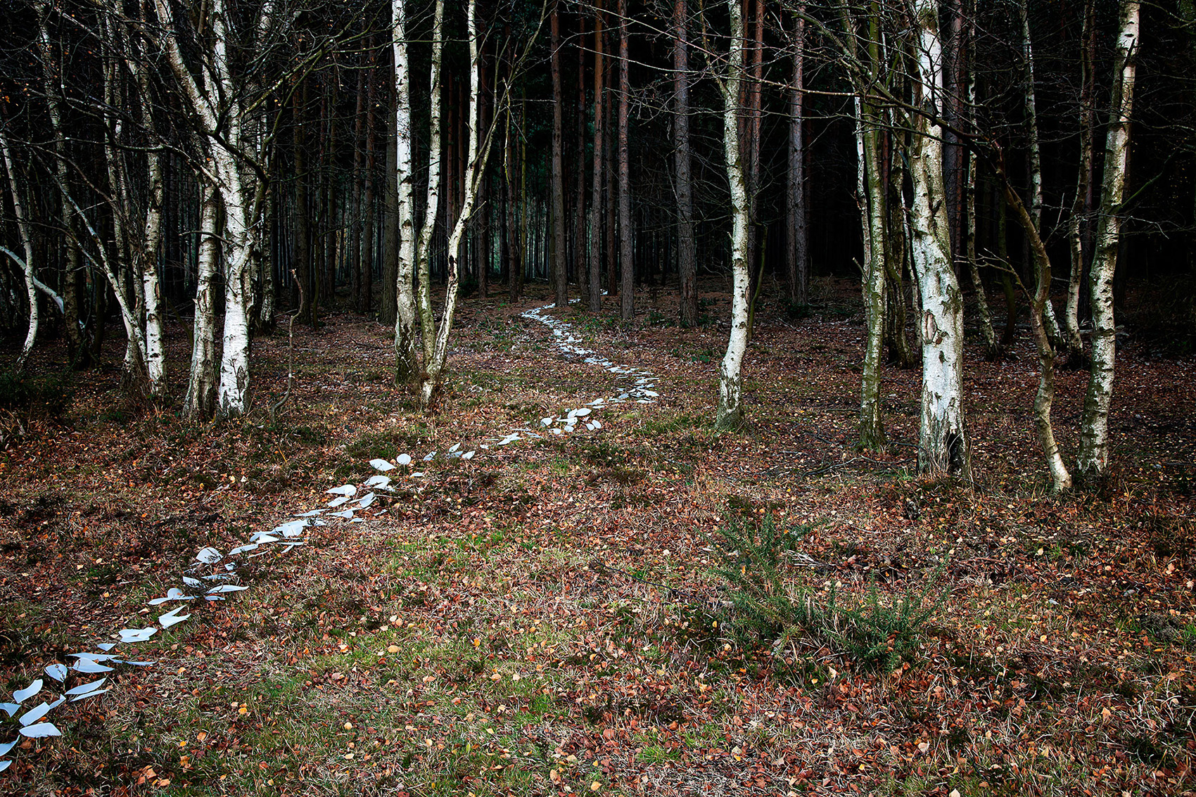 Come With Me by Ellie Davies