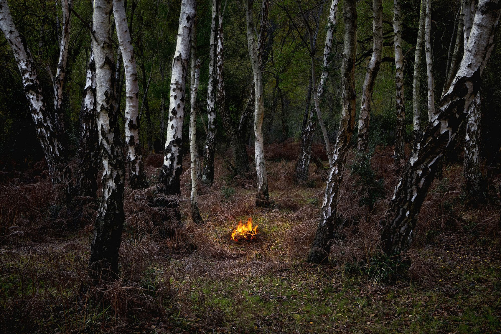 Fire by Ellie Davies