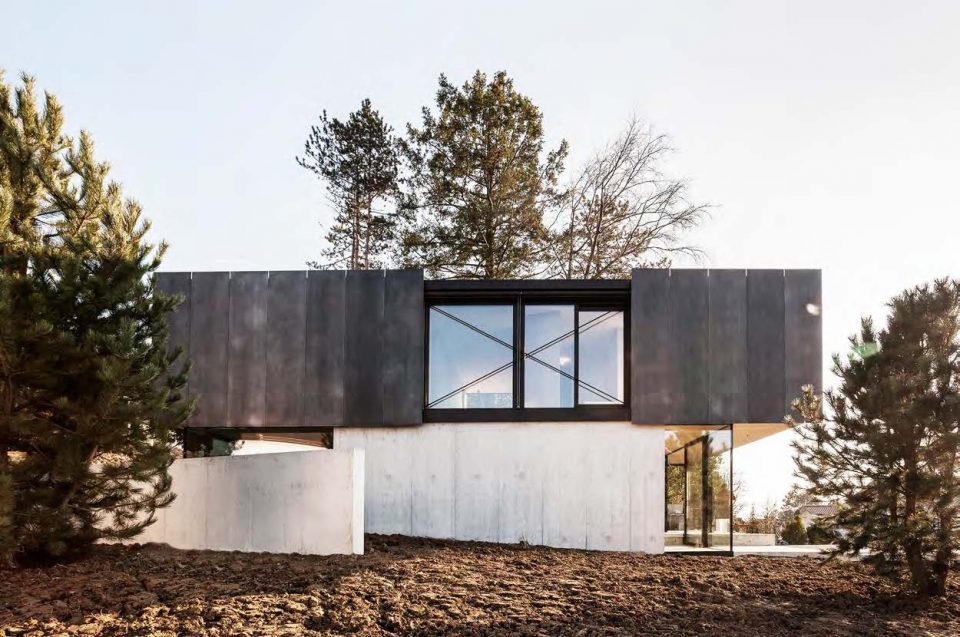 House in Riehen by House in Riehen-Lukas Raeber Patrick Reuter Architekten ETH SIA