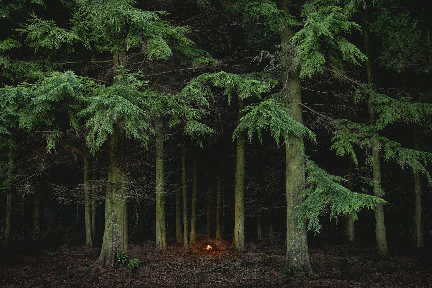 Fire by Ellie Davies