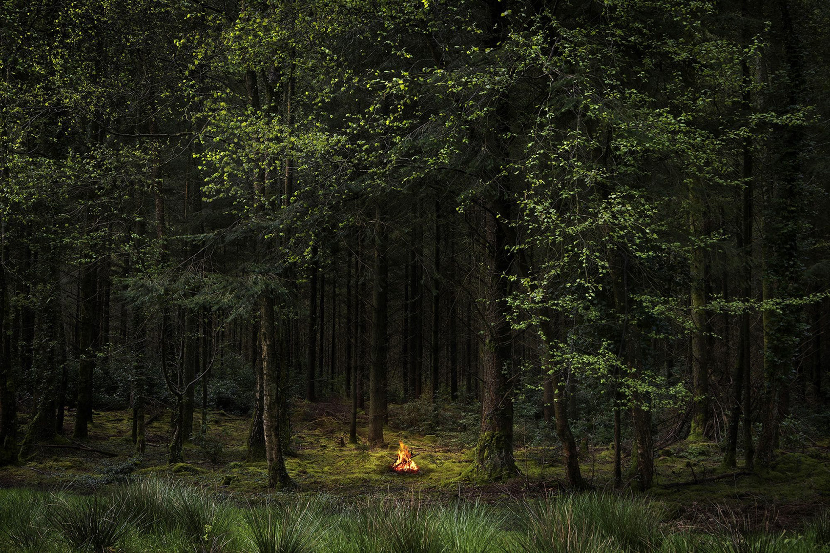 Fire by Ellie Davies