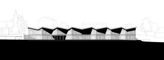 JAGGED TIMBER SCHOOL Skop