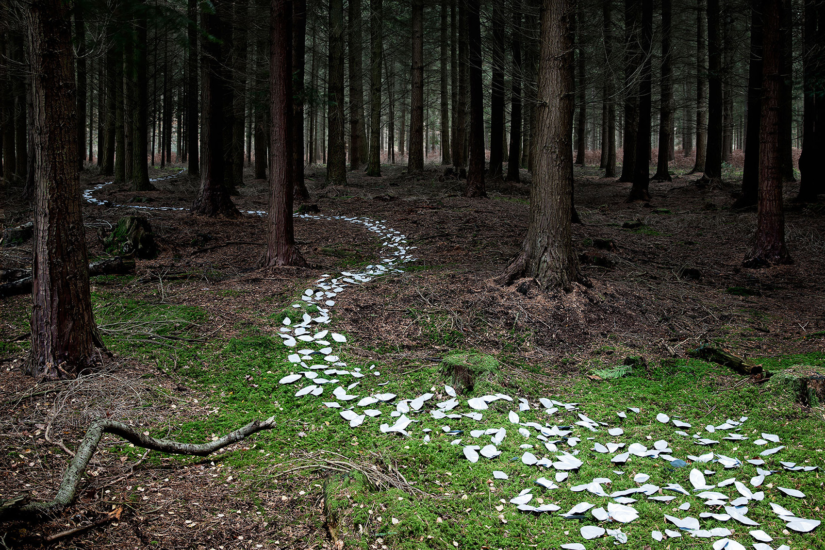 Come With Me by Ellie Davies