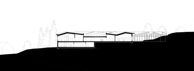JAGGED TIMBER SCHOOL Skop