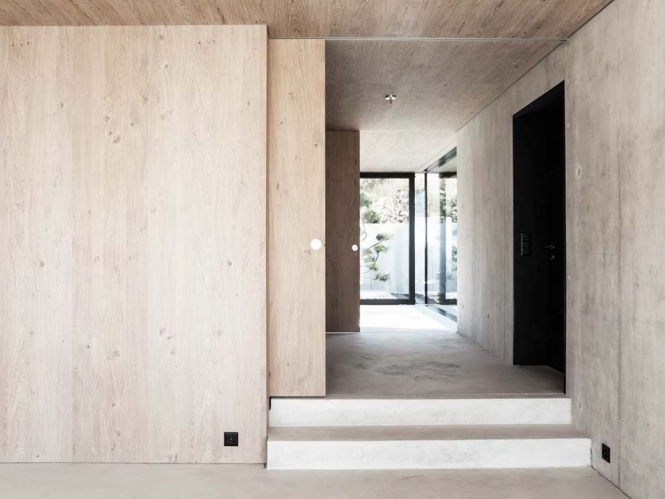 House in Riehen by House in Riehen-Lukas Raeber Patrick Reuter Architekten ETH SIA