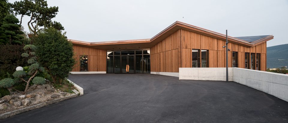 JAGGED TIMBER SCHOOL Skop