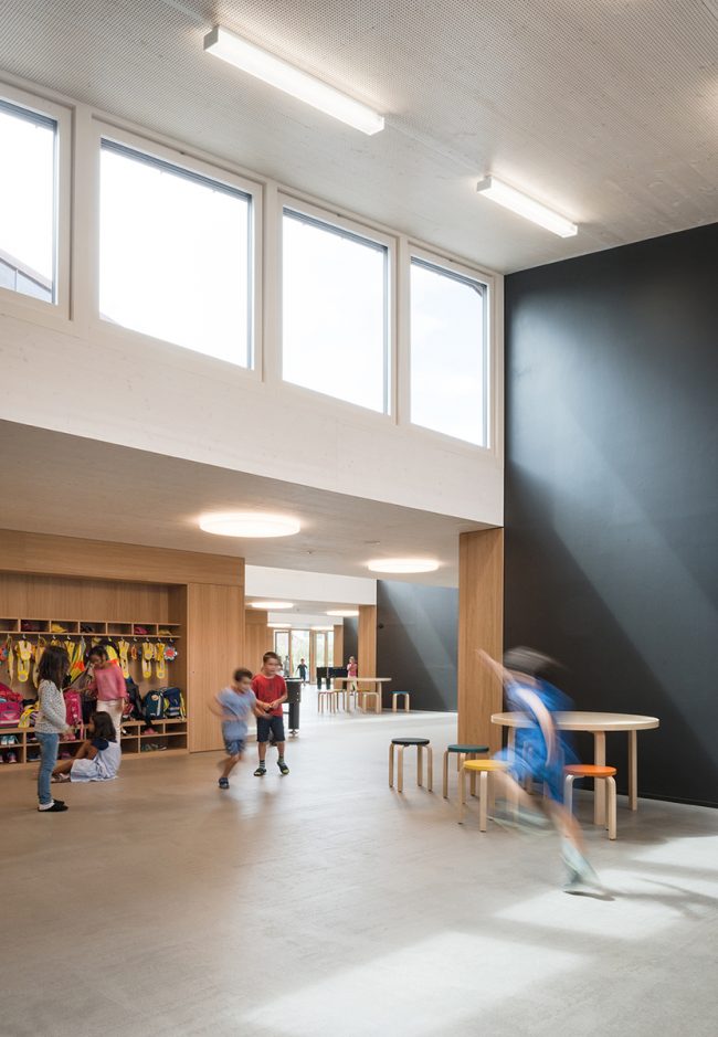 JAGGED TIMBER SCHOOL Skop