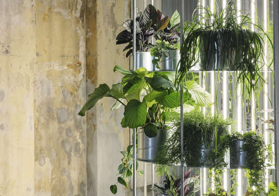TABLEAU flower shop by Studio David Thulstrup