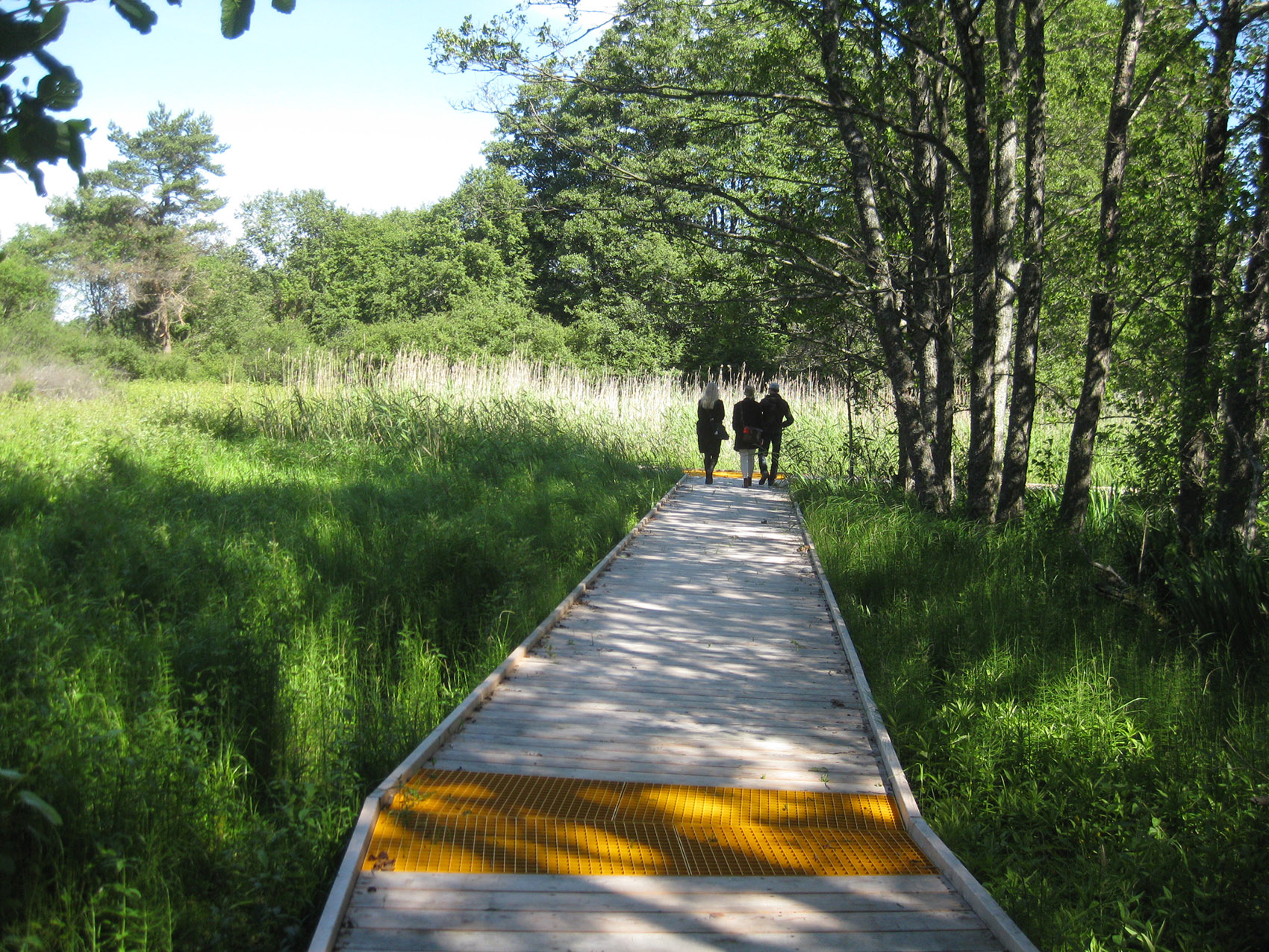 The Arninge-Ullna Riparian Forest Park by Topia Landskapsarkitektur AB ...