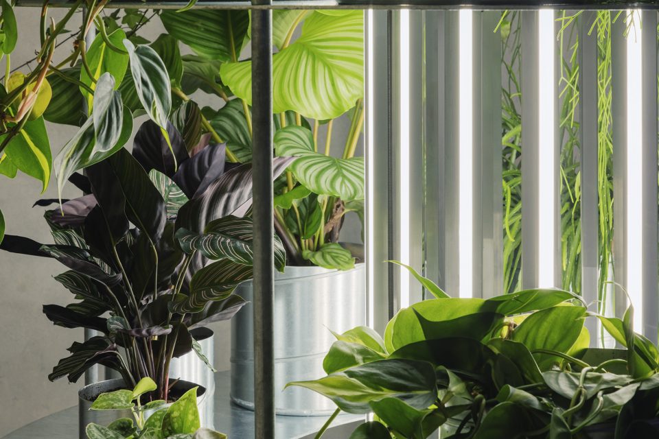 TABLEAU flower shop by Studio David Thulstrup