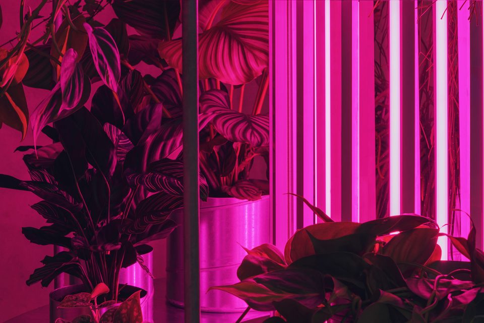 TABLEAU flower shop by Studio David Thulstrup