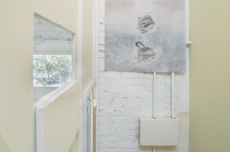 refurbishment of a small attached house by pia mendaro