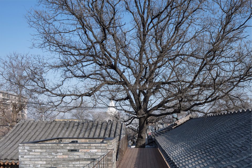 Beijing Bai TaSi Hutong courtyard house renovation by B.L.U.E. Architecture Studio