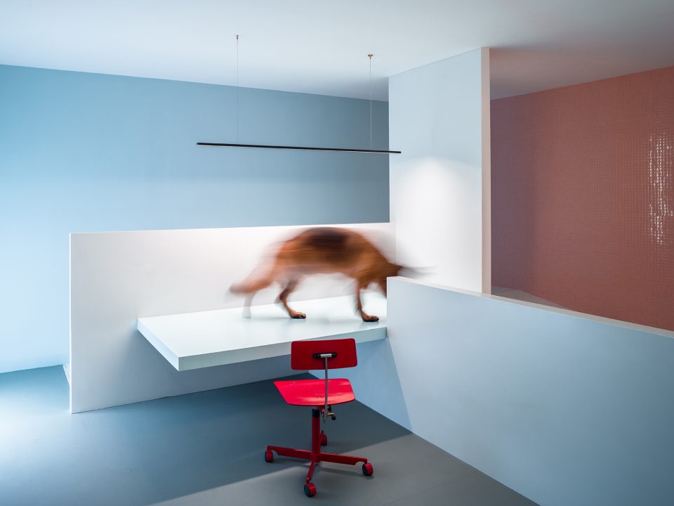 DogHouse aboutarch