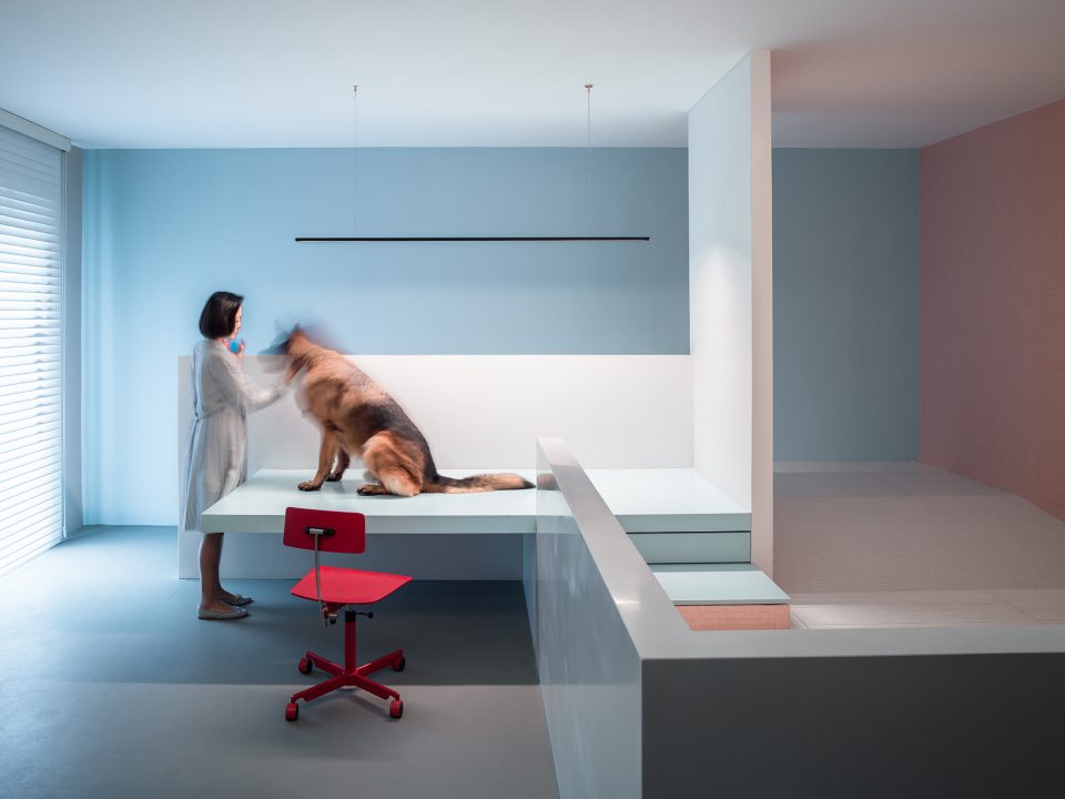DogHouse aboutarch