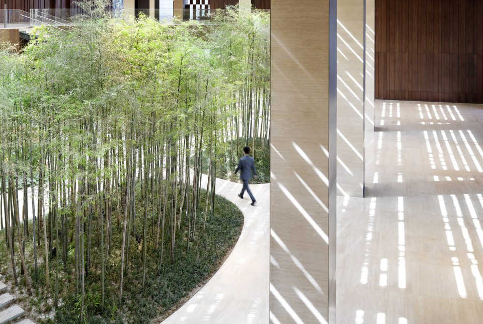 gooood topic LSC kengo kuma associates