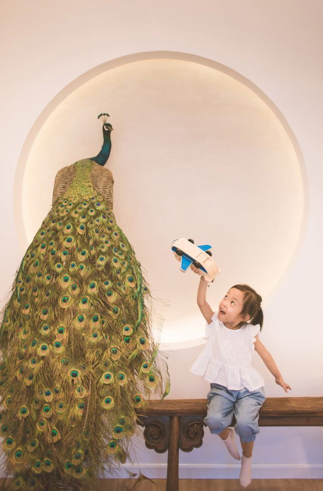 Picture frame peacock China by Wuyin Design